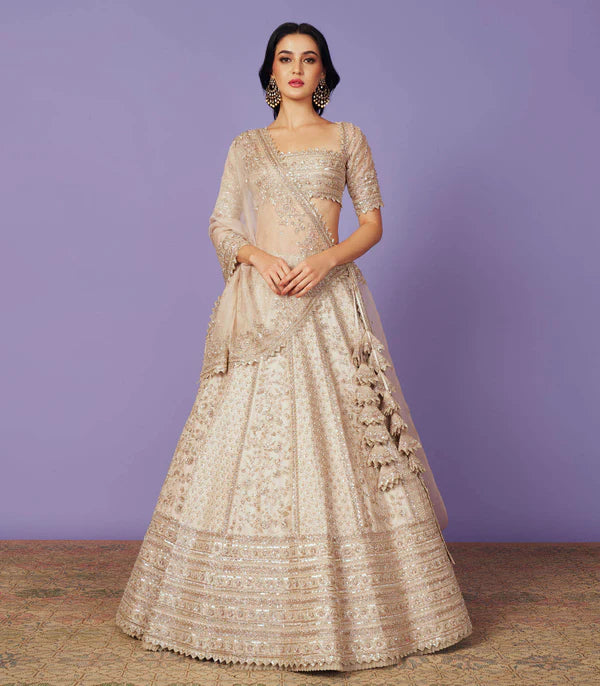 Blush Pink Organza Embroidered Gown Design by Anushree Reddy at Pernia's  Pop Up Shop 2024