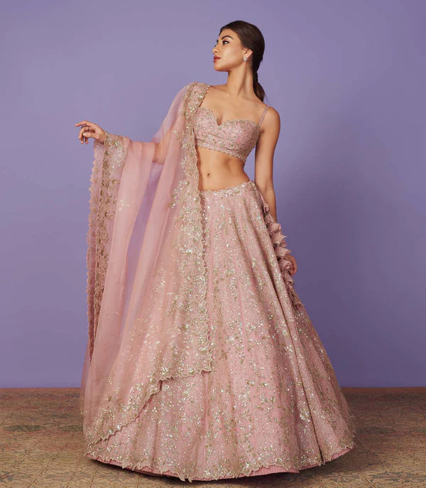 Blush Pink Organza Tara Lehenga Set