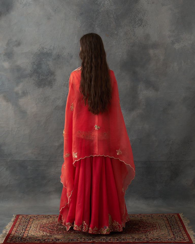 Gulrez short jacket with cape & embroidered sharara set.