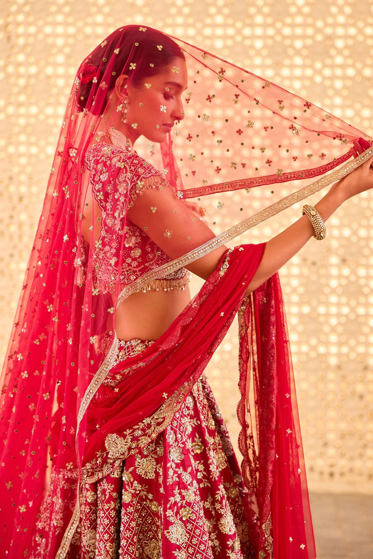 Beloved  Lehenga Set