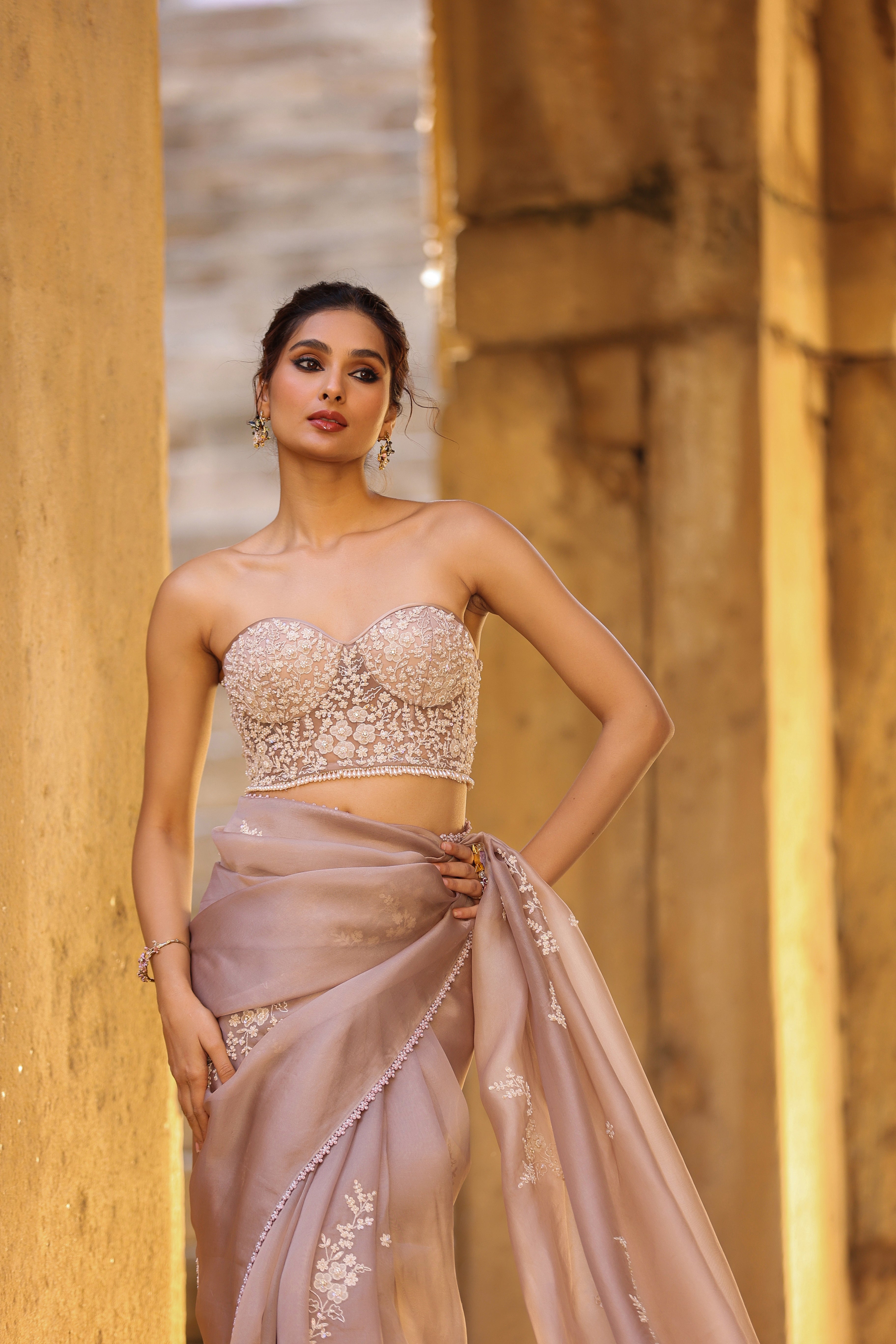 Vaayu Taupe Applique Corset Saree Set