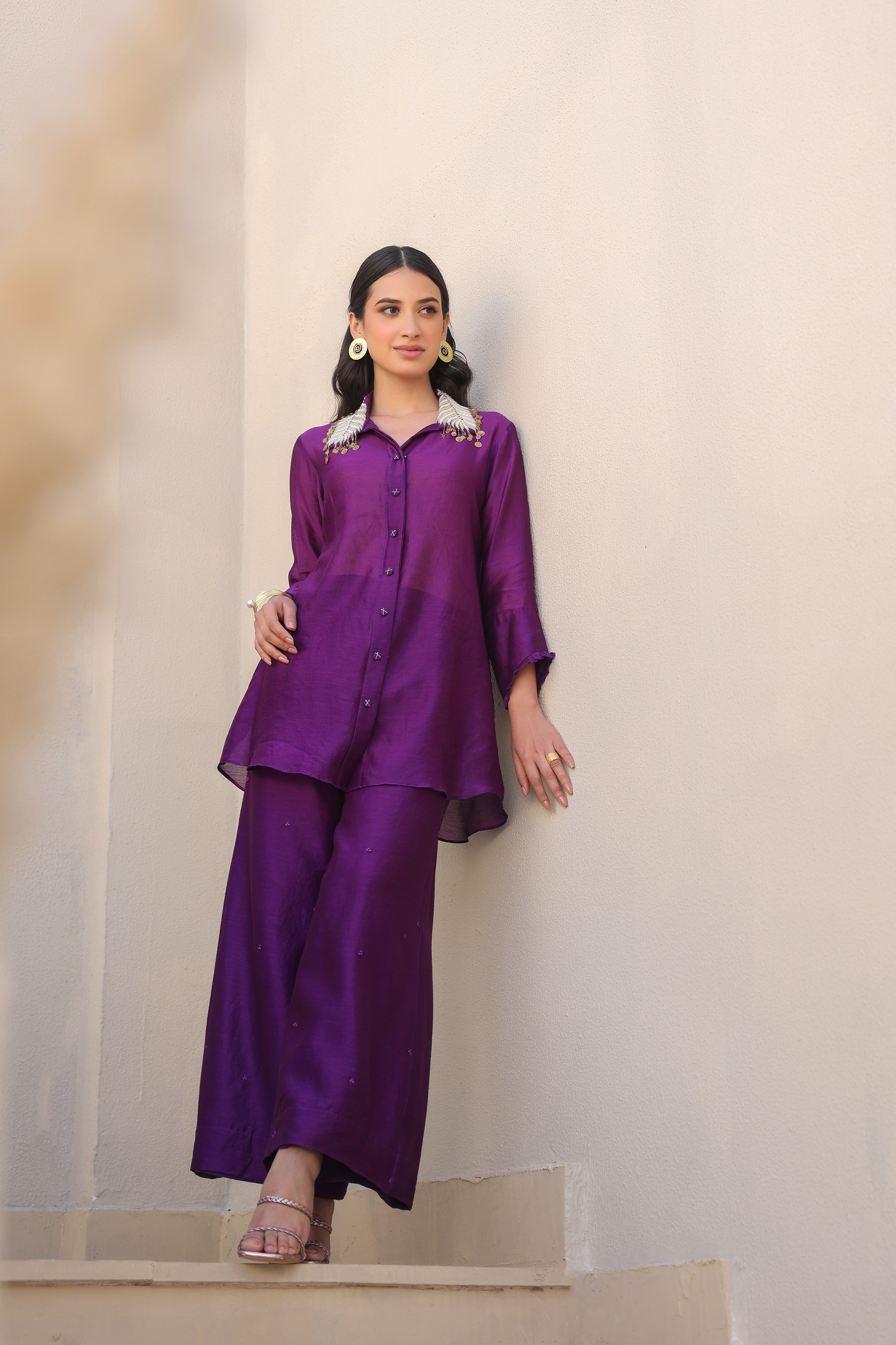 Zardosi Pankh Co-ord Set