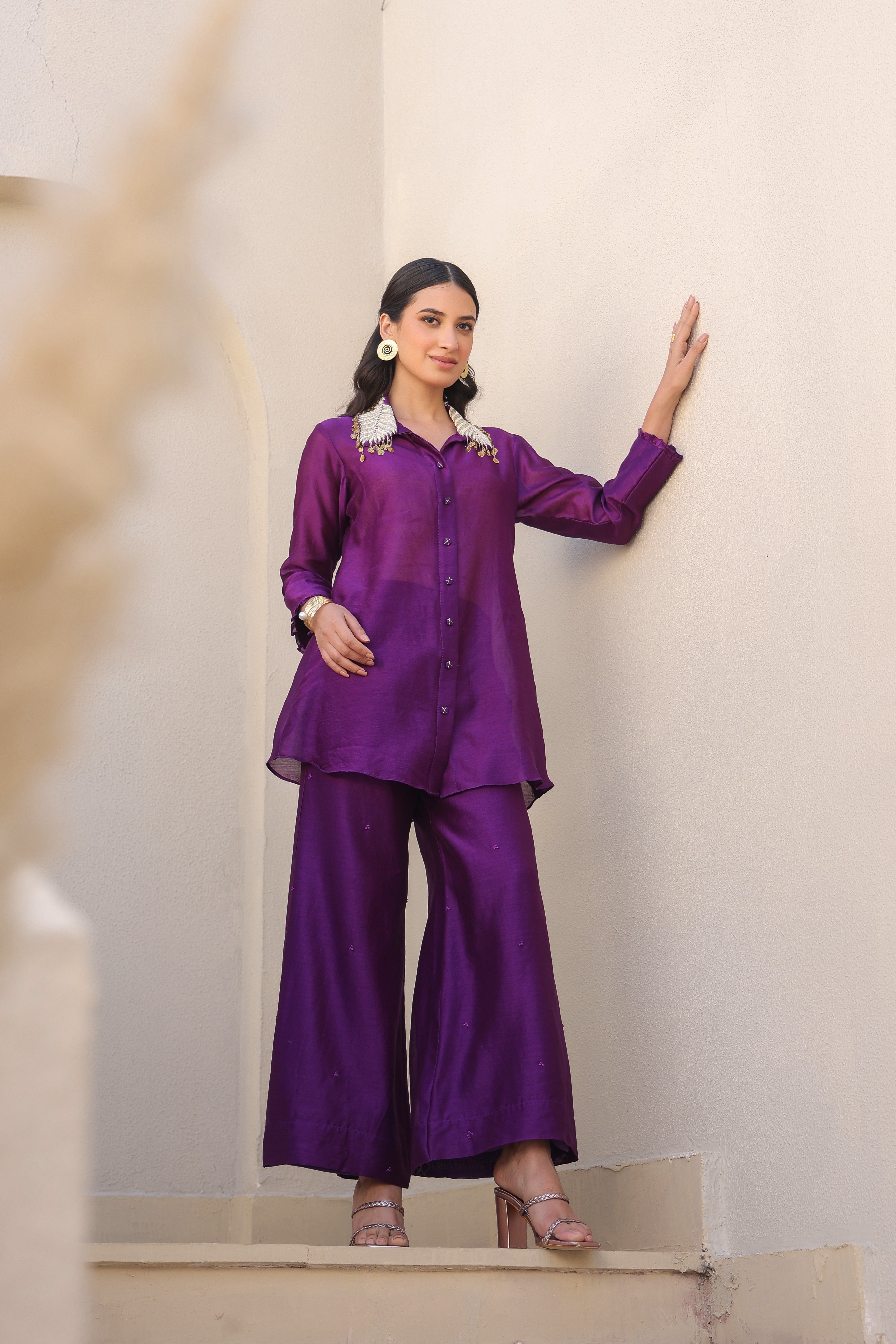 Zardosi Pankh Co-ord Set