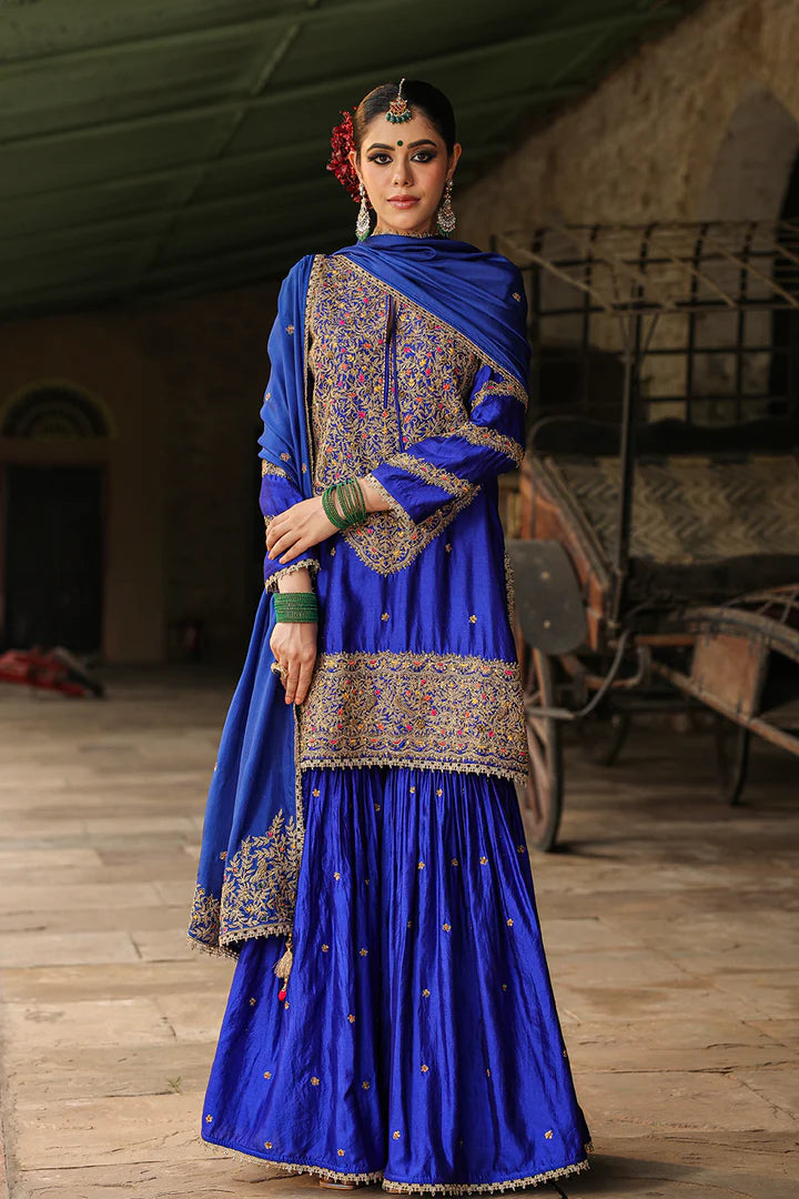 Blue Bird Embroidered Banarasi Sharara Set