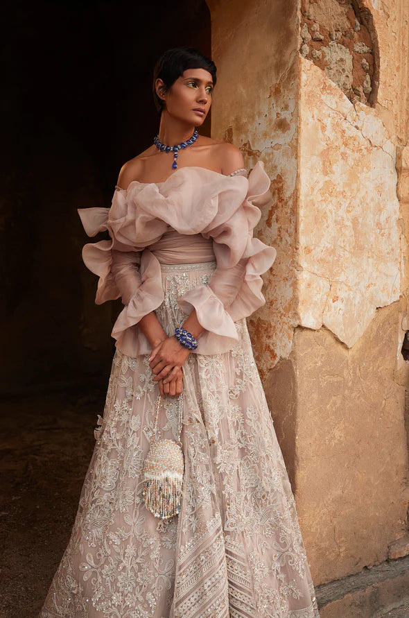 Champagne Net Embroidered Lehenga Set