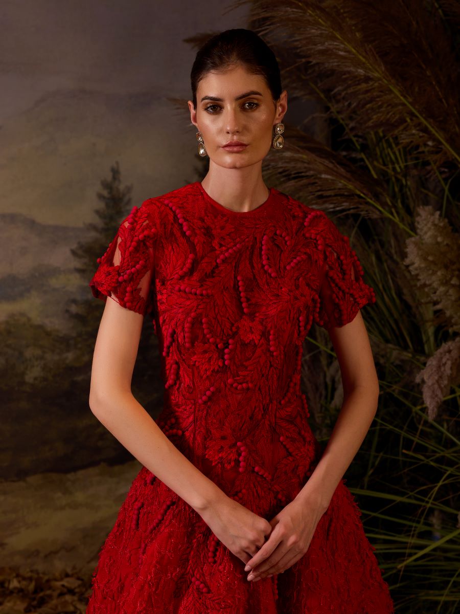 https://cdn.shopify.com/s/files/1/0088/3441/6706/files/a-red-floor-length-gown-embroidered-with-tonal-silk-thread-and-3d-hand-work-3510070.jpg?v=1752388662