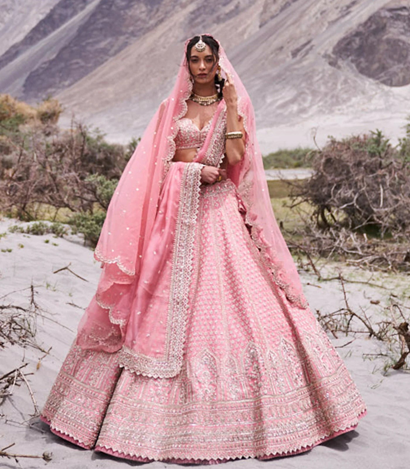 Pink Organza Leh Shukrana Lehenga Set