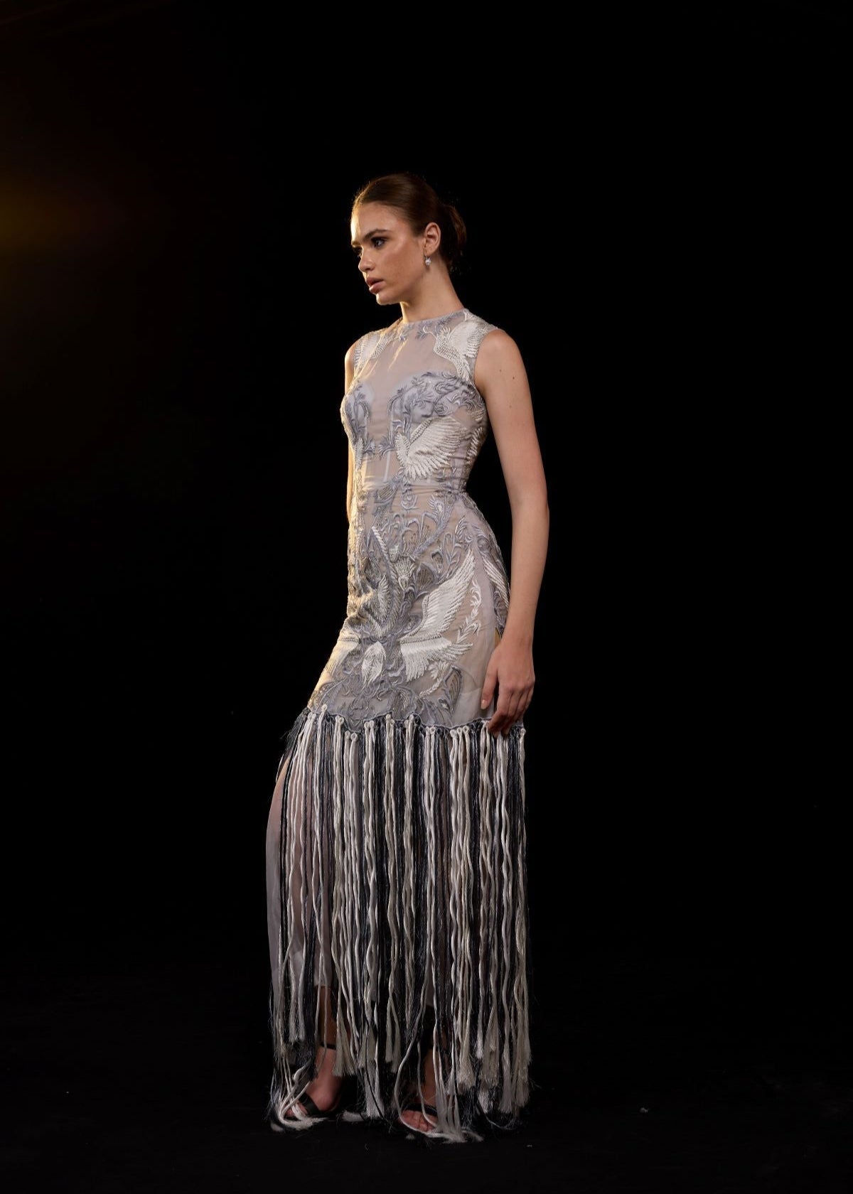 https://cdn.shopify.com/s/files/1/0088/3441/6706/files/intricately-embroidered-sheer-gown-featuring-a-high-neckline-sleeveless-design-9534867.jpg?v=1753781130