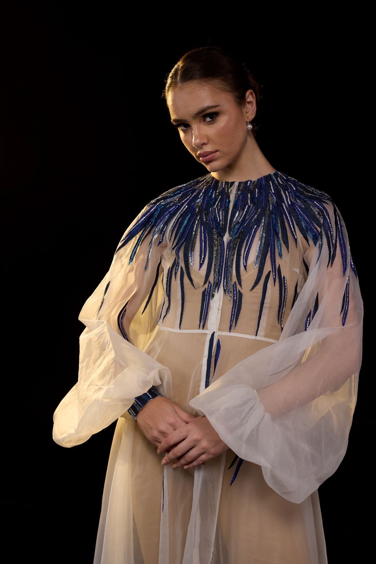https://cdn.shopify.com/s/files/1/0088/3441/6706/files/ivory-sheer-gown-with-blue-beaded-flame-embroidery-7574951.jpg?v=1752388531
