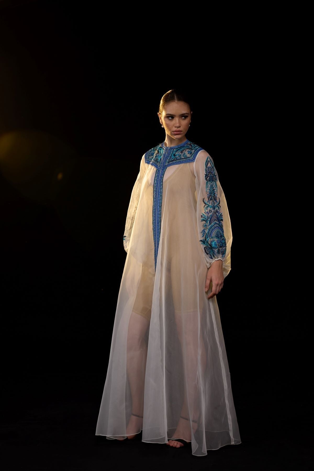 https://cdn.shopify.com/s/files/1/0088/3441/6706/files/ivory-sheer-kaftan-gown-with-blue-embroidered-yoke-and-sleeves-6855116.jpg?v=1752388532