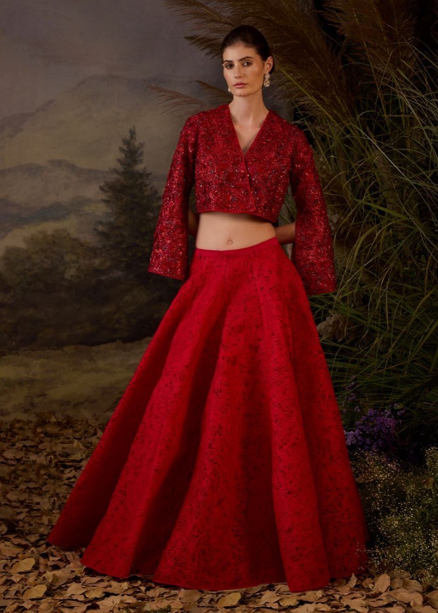 https://cdn.shopify.com/s/files/1/0088/3441/6706/files/red-organza-silk-top-with-silk-thread-embroidery-skirt-5311836.jpg?v=1752388662