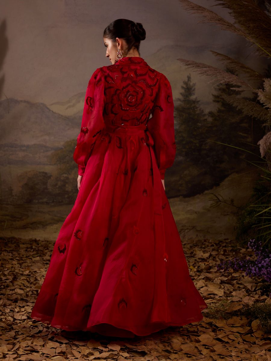 https://cdn.shopify.com/s/files/1/0088/3441/6706/files/scarlet-red-embroidered-gown-1270074.jpg?v=1752388641