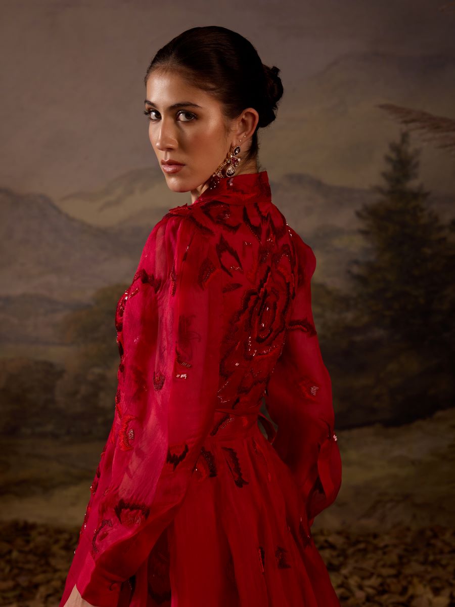 https://cdn.shopify.com/s/files/1/0088/3441/6706/files/scarlet-red-embroidered-gown-9062728.jpg?v=1752388641