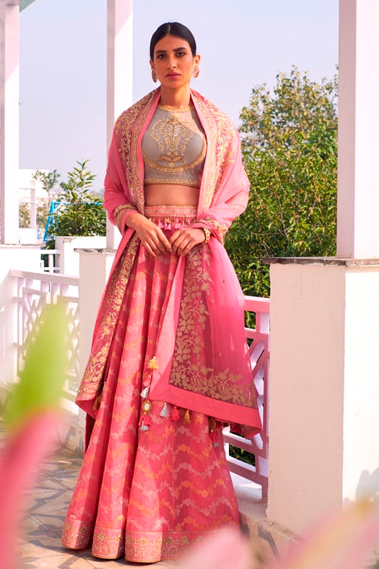 Pink Hand Woven Chanderi Lehenga With Hand Embroidered Blouse & Organza Dupatta