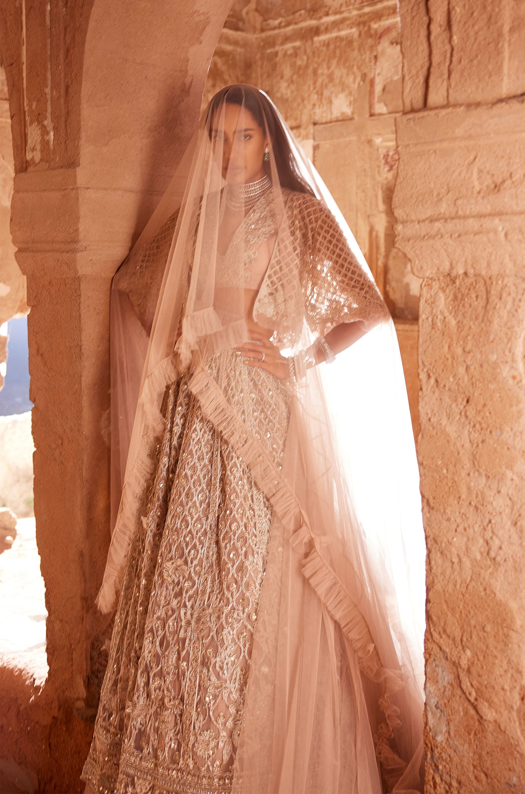 Champagne embroidered net cape, sleeveless organza blouse, and net lehenga